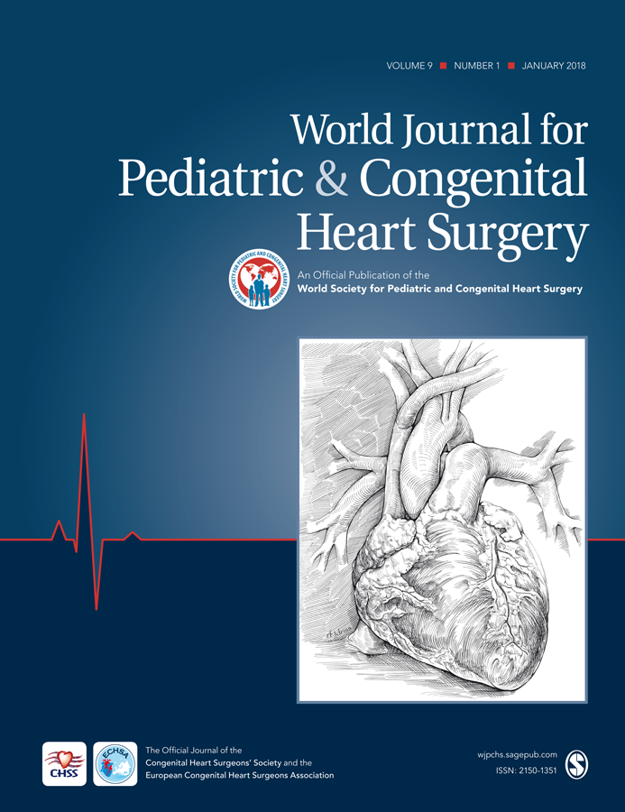 Brazilian Journal of Cardiovascular Surgery 28.4 by Revista Brasileira de  Cirurgia Cardiovascular - Issuu